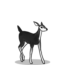 帮忙找{固定网站名称23}